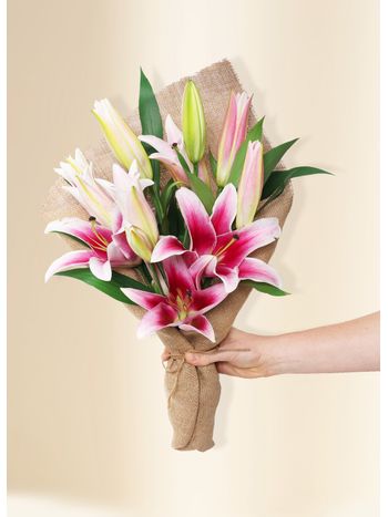 Oriental Lilies - In Vogue Pink (5)