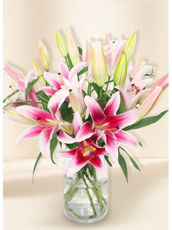 Oriental Lilies - In Vogue Pink (10)